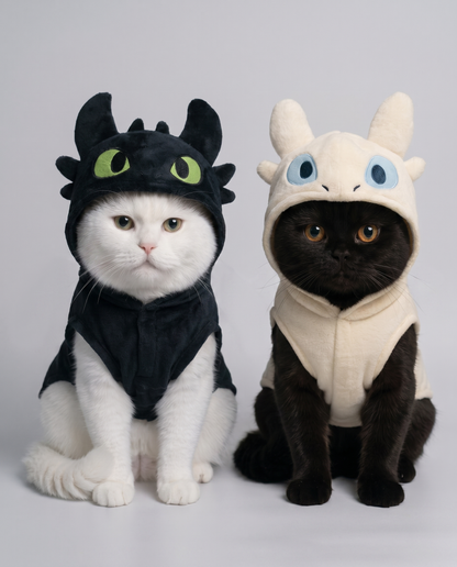 Handmade HTTYD Costume